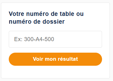 Comment vérifier son résultat du BAC NIGER 2025 en ligne ?